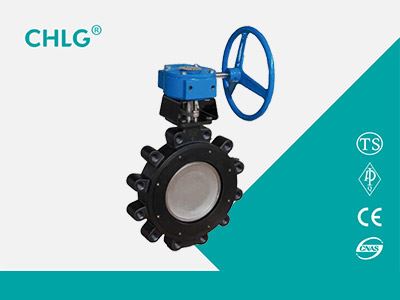 High Performance Butterfly Valve