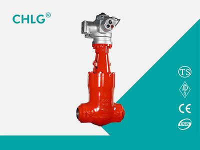 Electric Power Station Gate Valve