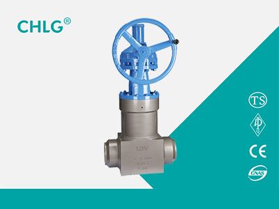 Forged Power Station Gate Valve