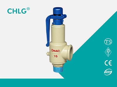 Micro Lift Safety Valve