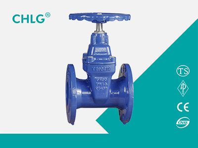 Soft Seal Gate Valve