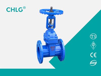 Rising stem flange gate