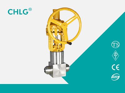 Forged  Steel Stainless Steel Gate Valve 