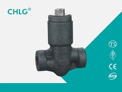 Socket Welding Check Valve