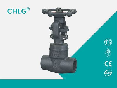 Socket Welding Globe Valve