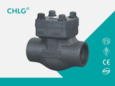 Swing Check Valve