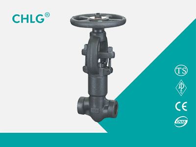 Socket Welding Gate Valve