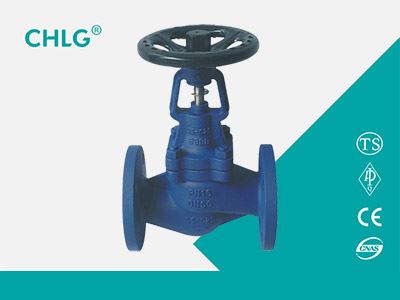  Bellows Sealed Globe Valve