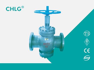 Special Valve for Oil Field