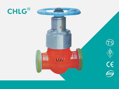 Special Valve for Oil Field