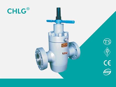 Special Valve for Oil Field