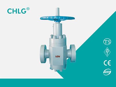 Special Valve for Oil Field