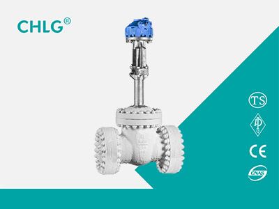 Stainless Steel Cryogenic Gate Valve