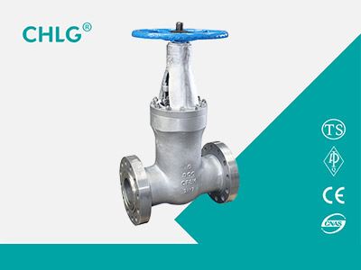 API Stainless Steel Self-sealing High-pressure Gate Valve