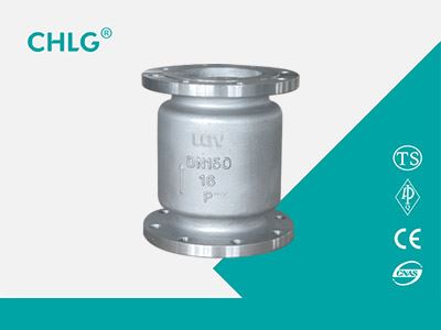 Vertical Lift Check Valve