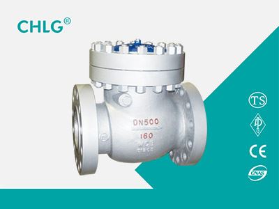 Flange Check Valve