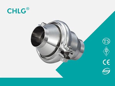 welding type check valve