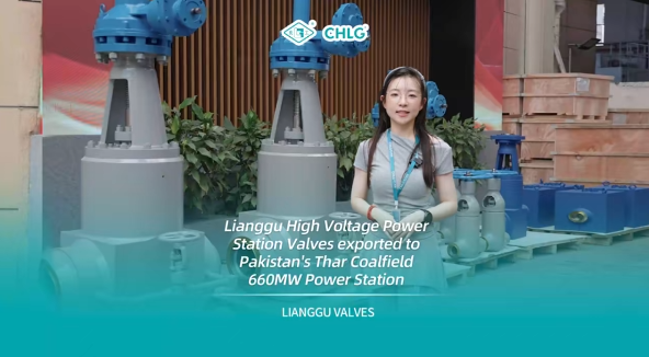 Crossing thousands of miles to build a brighter future together: Lianggu high-voltage power station valves exported to Pakistan's Thar coal-fired power integration project