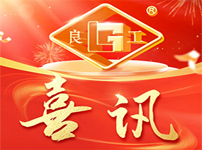 Good news | Lianggu Valve products were selected into the list of Zhejiang Province's excellent industrial new products in 2025