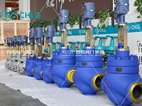 Lianggu Valve explores new energy blue ocean in Africa and sincerely invites global partners to join us in building a green future