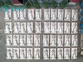 Export to Saudi Arabia | Lianggu Valve delivers power plant valves for 1800MW combined cycle power plant project