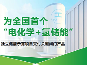 Serving China’s First‘Electrochemical+Hydrogen Energy Storage’Demo Project